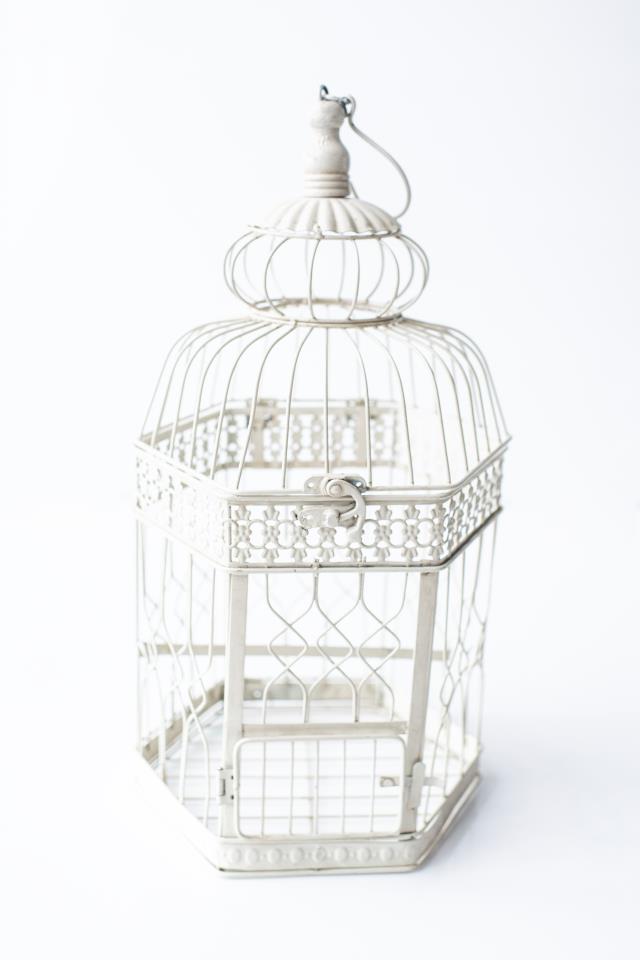 Rental store for LARGE CREAM HEX METAL BIRDCAGE in Tyler TX
