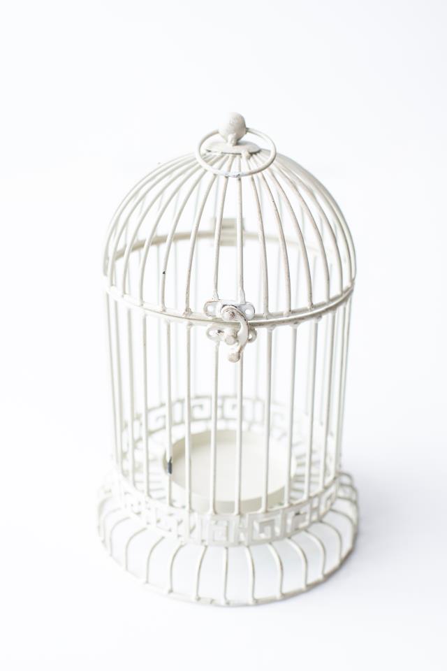 Rental store for 12 X7  ANTIQUE WHITE METAL BIRDCAGE in Tyler TX