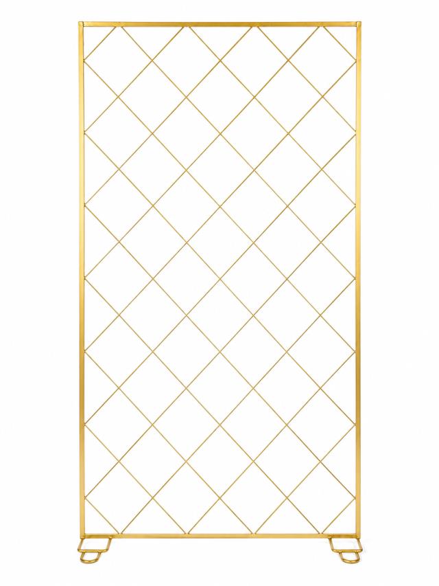 Rental store for GOLD DIAMOND PATTERN SCREEN 4 X8 in Tyler TX